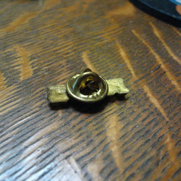 🏳️‍🌈 Gay Pride Celebration Gold Lapel Pin - Picture 4 of 4